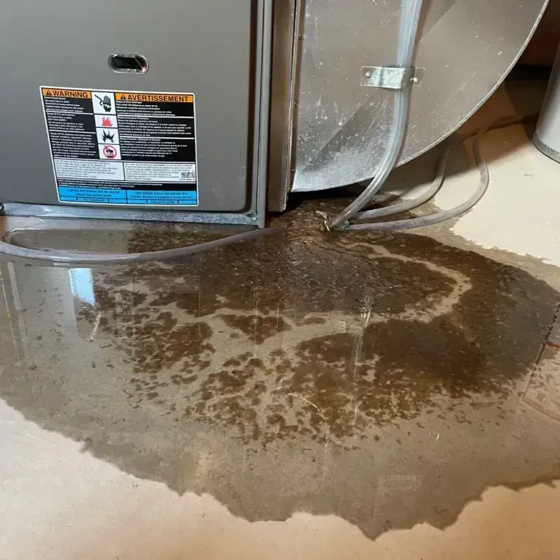 Appliance Leak Cleanup in Broadmoor, CA